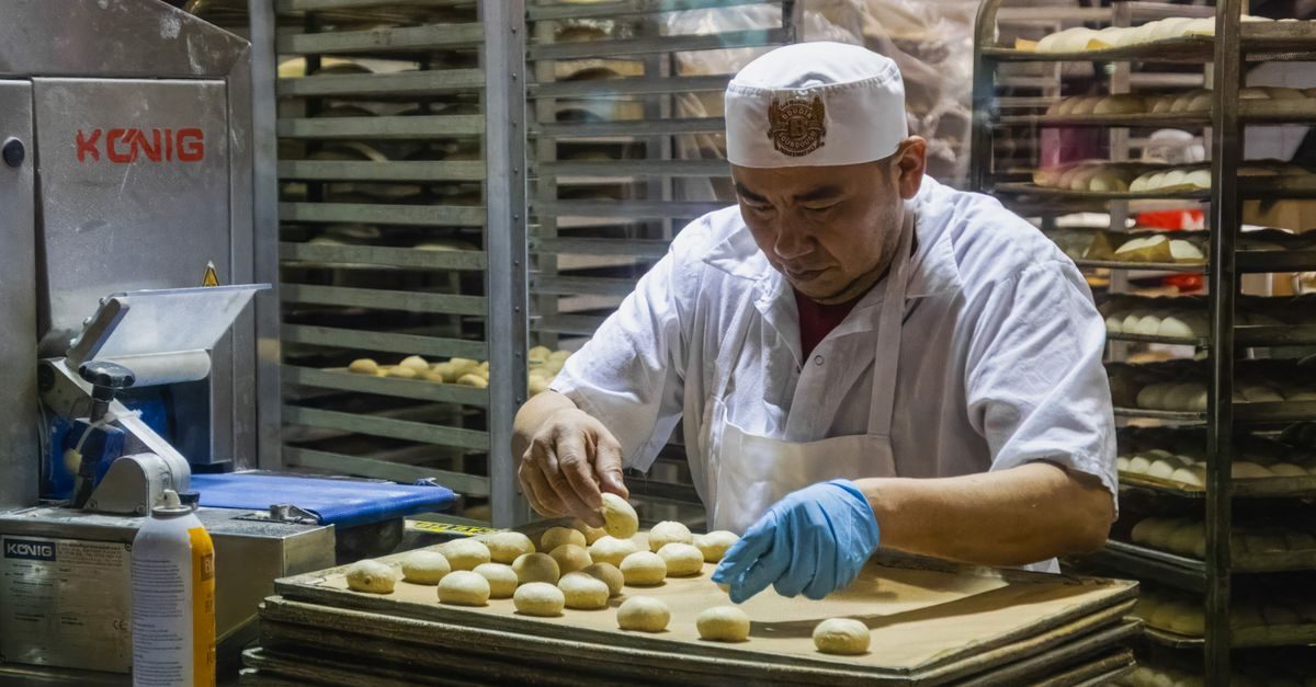 Bakker in witte werkkleding legt deegbolletjes op een bakplaat in een professionele bakkerij met rekken vol brood