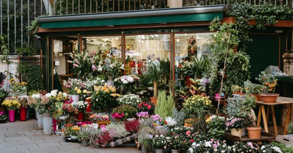 Devanture d'une boutique de fleuriste avec une abondance de plantes et de fleurs colorées exposées sur le trottoir