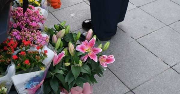 Blommor i krukor står på en trottoar bredvid benen på en person i mörka byxor och skor