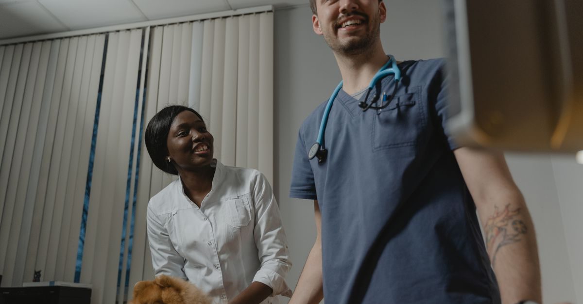 Due veterinari sorridenti visitano un cane in uno studio medico con tende veneziane sullo sfondo