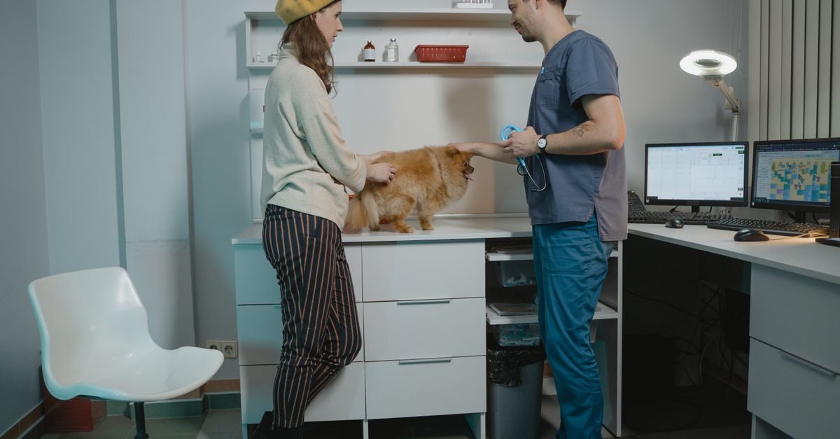 Veterinär undersöker en hund på ett undersökningsbord tillsammans med hundägaren i ett modernt klinikrum