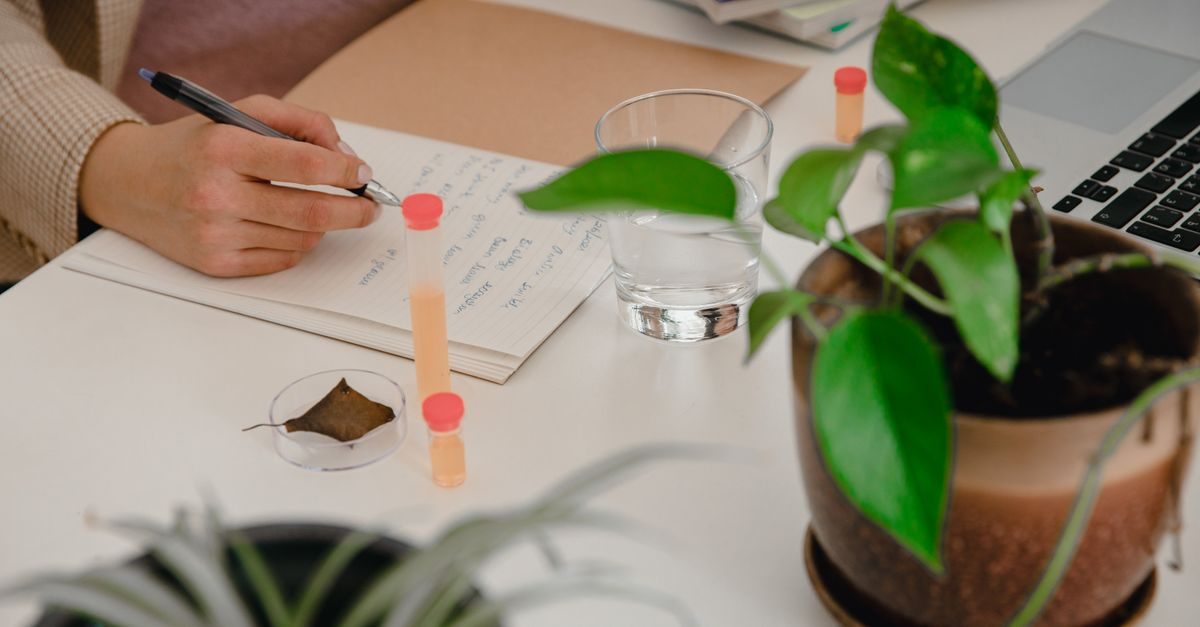 Une personne prend des notes sur un carnet à côté d'échantillons, d'un verre d'eau et d'une plante sur un bureau de travail