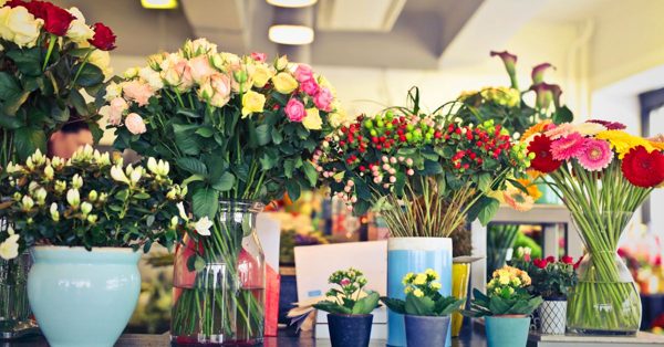 Divers bouquets de fleurs colorées et plantes en pot disposés sur un comptoir dans une boutique lumineuse